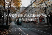 2023年软件销售话术揭秘 5个高效技巧助你业绩翻倍