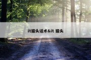 it猎头话术&amp;it 猎头
