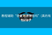 教程辅助“夜夏到底有挂吗”(真的有挂)知乎