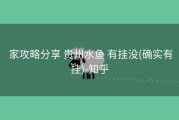  家攻略分享 贵州水鱼 有挂没(确实有挂)-知乎