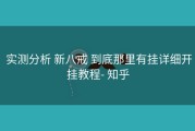  实测分析 新八戒 到底那里有挂详细开挂教程- 知乎