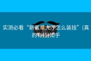 实测必看“新蜜瓜大厅怎么装挂”(真的有挂)知乎