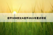 遂平SEM优化&amp;遂平2021年重点项目