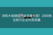 浏阳大瑶镇招聘会完美收官！2000岗位助力企业村民双赢