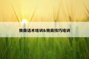 微商话术培训&amp;微商技巧培训