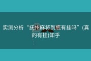 实测分析“抚州麻将到底有挂吗”(真的有挂)知乎