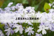上菜话术&amp;上菜的话术