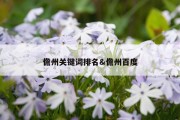 儋州关键词排名&amp;儋州百度