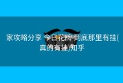  家攻略分享 今日花牌 到底那里有挂(真的有挂)知乎