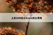 上高SEM优化&amp;sem优化费用