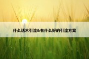 什么话术引流&amp;有什么好的引流方案
