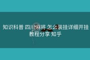  知识科普 四川麻将 怎么装挂详细开挂教程分享 知乎