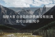  指导大家 白金岛跑胡子 有没有挂(真实可以装挂)知乎