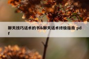聊天技巧话术的书&amp;聊天话术终极指南 pdf