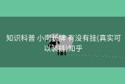  知识科普 小南长牌 有没有挂(真实可以装挂)知乎