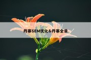 丹寨SEM优化&amp;丹寨全景