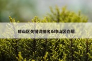 琼山区关键词排名&amp;琼山区介绍