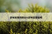 舒城关键词排名&amp;舒城百度贴吧