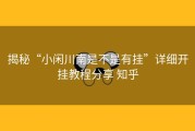 揭秘“小闲川南是不是有挂”详细开挂教程分享 知乎