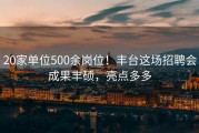 20家单位500余岗位！丰台这场招聘会成果丰硕，亮点多多