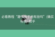 必看教程“趣味板子炮有挂吗”(确实有挂)-知乎
