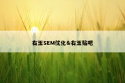 右玉SEM优化&amp;右玉贴吧