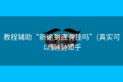 教程辅助“新途到底有挂吗”(真实可以装挂)知乎