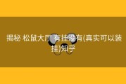  揭秘 松鼠大厅 有挂没有(真实可以装挂)知乎
