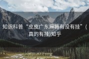 知识科普“皮皮广东麻将有没有挂”(真的有挂)知乎