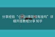 分享经验“小闲川南到底有挂吗”详细开挂教程分享 知乎