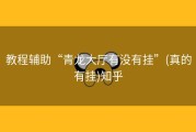 教程辅助“青龙大厅有没有挂”(真的有挂)知乎