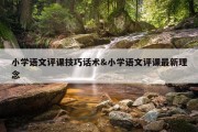 小学语文评课技巧话术&amp;小学语文评课最新理念