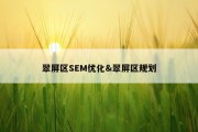翠屏区SEM优化&amp;翠屏区规划