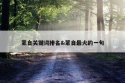蒙自关键词排名&amp;蒙自最火的一句