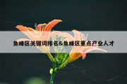 鱼峰区关键词排名&amp;鱼峰区重点产业人才