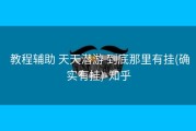  教程辅助 天天潜游 到底那里有挂(确实有挂)-知乎