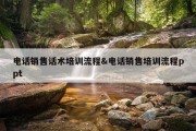 电话销售话术培训流程&amp;电话销售培训流程ppt
