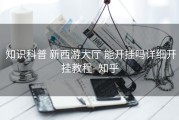  知识科普 新西游大厅 能开挂吗详细开挂教程- 知乎