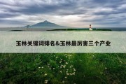 玉林关键词排名&amp;玉林最厉害三个产业