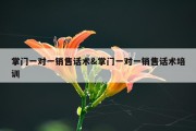 掌门一对一销售话术&amp;掌门一对一销售话术培训