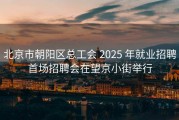 北京市朝阳区总工会 2025 年就业招聘首场招聘会在望京小街举行