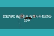  教程辅助 衢州都莱 有挂吗开挂教程-知乎