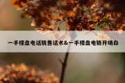 一手楼盘电话销售话术&amp;一手楼盘电销开场白