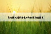 东川区关键词排名&amp;东川区教育排名