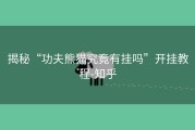 揭秘“功夫熊猫究竟有挂吗”开挂教程-知乎