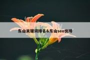 东山关键词排名&amp;东山seo快排