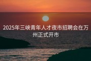 2025年三峡青年人才夜市招聘会在万州正式开市