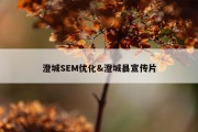澄城SEM优化&amp;澄城县宣传片