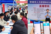楚雄市2026年招聘会聚焦‘两难’，多举措促就业
