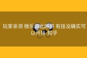  玩家亲测 微乐湖北麻将 有挂没确实可以开挂-知乎